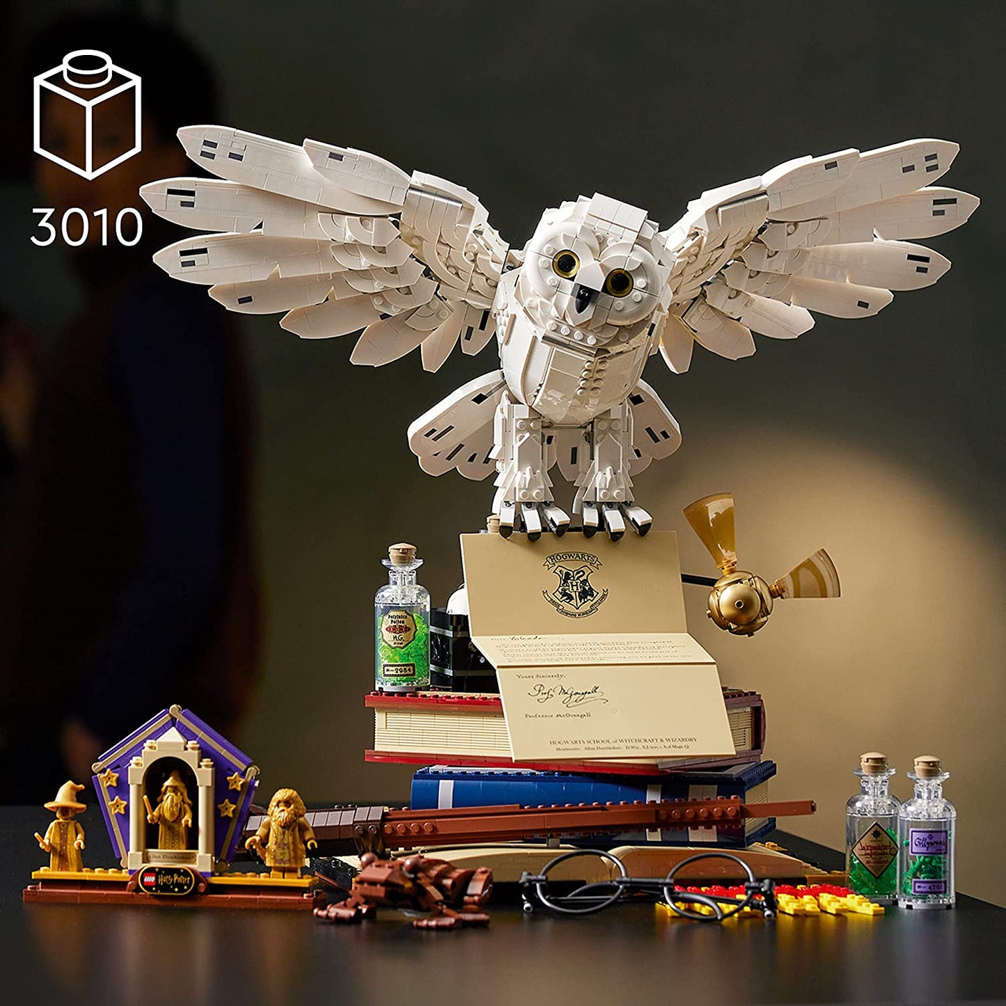 LEGO Harry Potter Icon Collectors Edition 76391